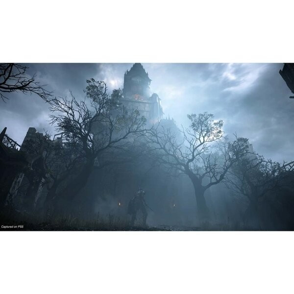 PS5 игра Sony Demon's Souls