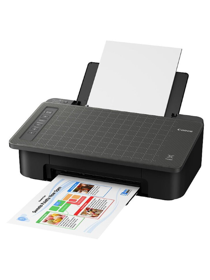 Принтер Canon PIXMA TS304