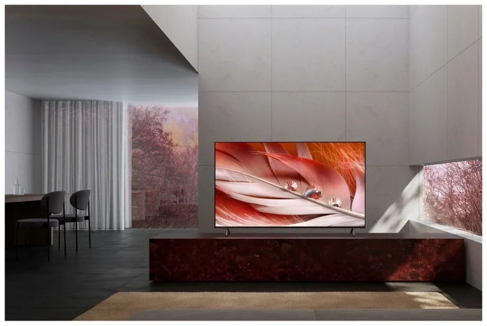 Телевизор Sony XR-55X90J