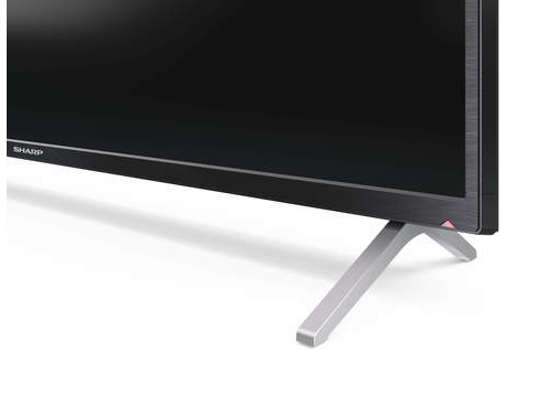 Телевизор Sharp 55BL2EA 55" (2020)