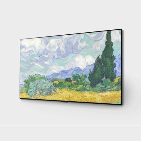 OLED телевизор LG OLED55G1RLA EVO